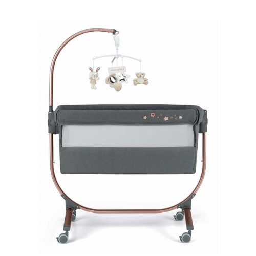 CAM Cullami Next to Me - Assorted - Image 3