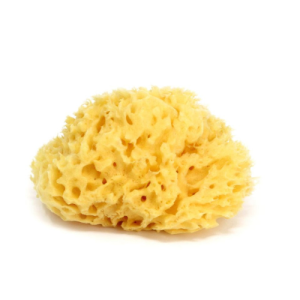 OK Baby Natural Sea Sponge Size 10
