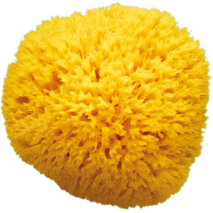 Okbaby Honeycomb Sea Sponge Big